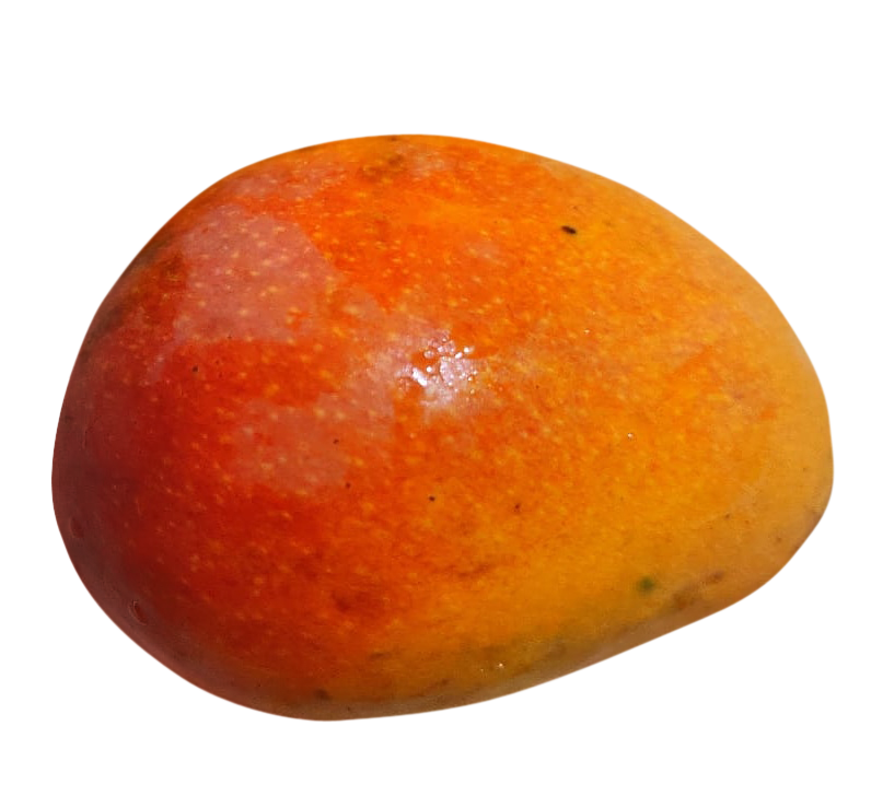 mango, mango png, mango png image, mango transparent png image, mango png full hd images download